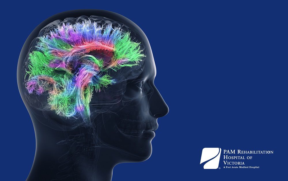 brain activity